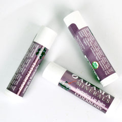 زيون هيلث - مرطب الشفاه برائحة التوت البري 4.25 جم