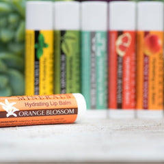 زيون هيلث - مرطب الشفاه برائحة زهرة البرتقال 4.25 جم