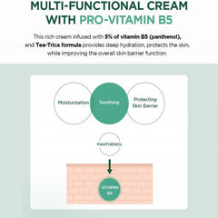 سكين 1004 - كريم بي 5 تي تريكا لتهدئة وترطيب البشرة بخلاصة السنتيلا 75 مل